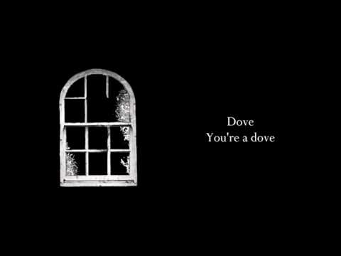 Antihoney - Dove [lyrics]