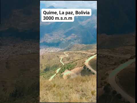 Quime, la paz, bolivia