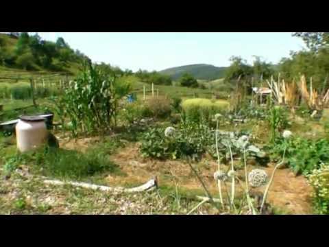 Ferma de permacultura "Ermitage Malin"