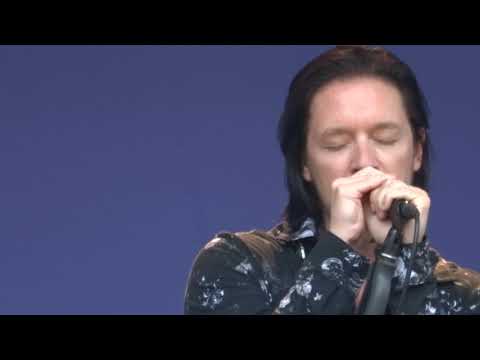 Dionysian Band Tribute To The Doors : Light My Fire ( Live 22.08.2020 )