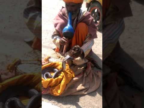 Sneak Dance by Shapera😱😱😱😱