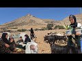 Nomadic Family Happiness Goli Samira Visit Newborn Baby Of Qasim ️ ️