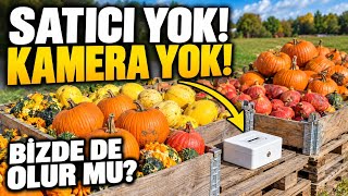🎃 Satıcı Yok, Kamera Yok… Peki Para? 🇩🇪 Bizde de Olur mu? 🤔