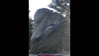 Video thumbnail of Poorman's Darkhorse (aka Dances with Trees), V6. Tramway