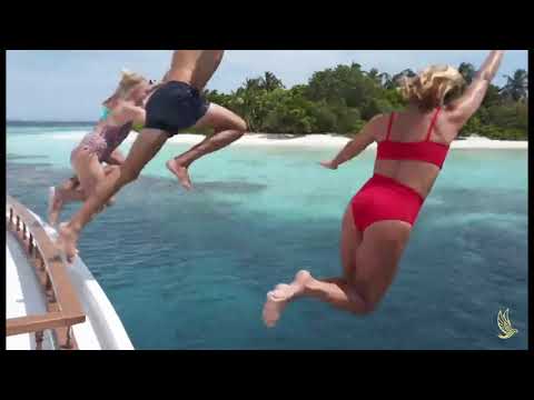 10000000 366255871111938 5721768537614633871 n