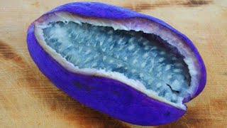 THE MOST UNUSUAL FRUITS You've Never Heard Of