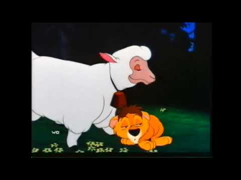 3 maggio 2024(84) lambert leone tenerone