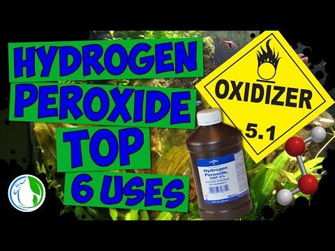 Halamang-singaw sa daliri ng paa kuko paggamot Malyshev Mikozan review ng gabay