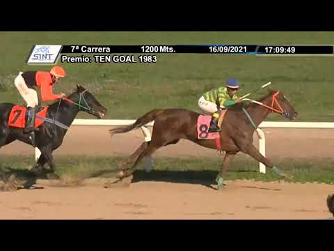 CARRERAS SINT PAYSANDU - 210916 c07 1° ARROGANTE