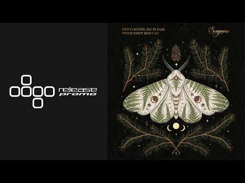 PREMIERE: Emi Galvan & DJ Zombi - Train Affair [Songuara]