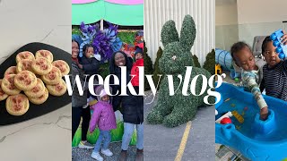 Weekly Vlog: Easter Weekend, Making Brown Stew fish, Family time,  Running Errands, and more!!