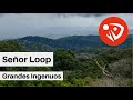 Señor Loop - Grandes Ingenuos (Audio Oficial)