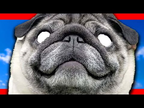 Retro Pugs