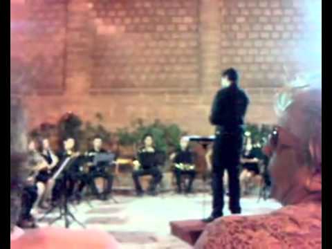 Angelo E. Palmisano with Orchestra Giovanile Fiati1 (live)