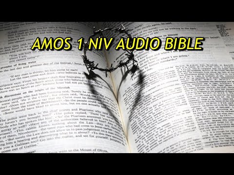 AMOS 1 NIV AUDIO BIBLE(with text)