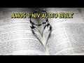 AMOS 1 NIV AUDIO BIBLE(with text)