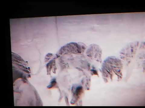 Liemke Keiler 18 Pro Ceramic