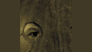 Re: The Rarity of Meaningful Experience