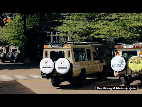 The Ultimate Safari Cruiser: Power Meets Comfort