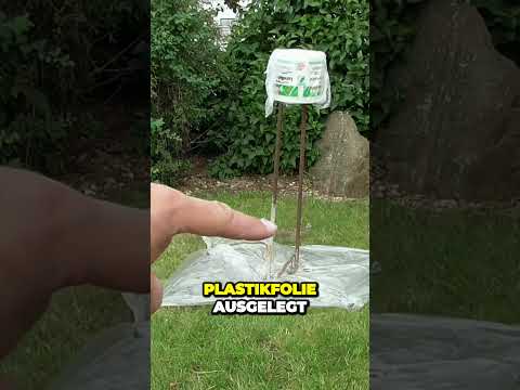 Günstige DIY Pflanzengefäße - Einfacher geht's nicht! #springonshorts #garten #gartentipps #diy