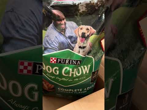 Purina Dog Chow Complete Adult Chicken Flavor Dry Dog Food