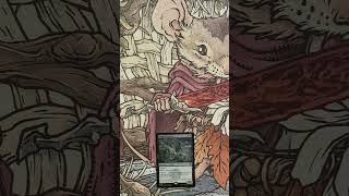 Is this the best way to show off your MTG cards? #gifted #mtgstrixhaven #honeyduckymtg