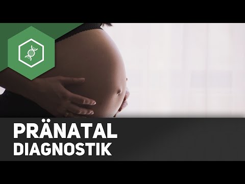 Prenatal diagnostics