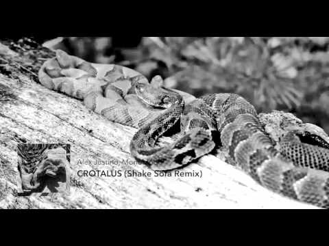 Alex Justino, Monobloq - Crotalus (Shake Sofa Remix) [Nin92wo Records]