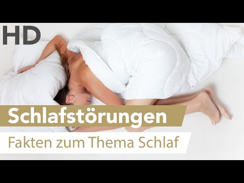 Klinik für die Behandlung von Gelenken Operation am gemeinsamen Hund vetkliniku