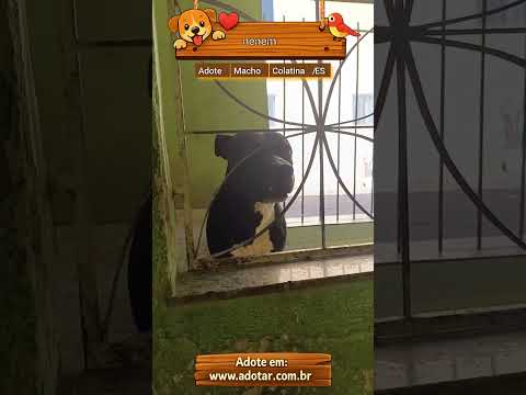 Vídeo de nenem