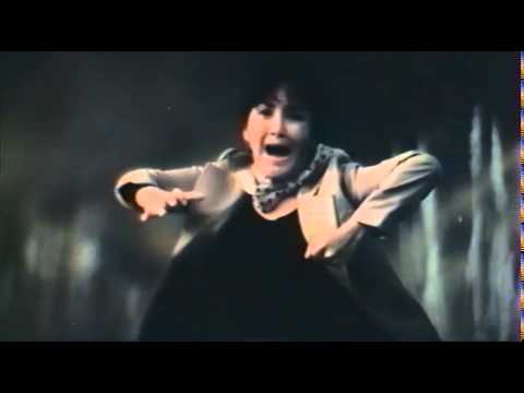 Quand les Jaunes Voient Rouge (1973)