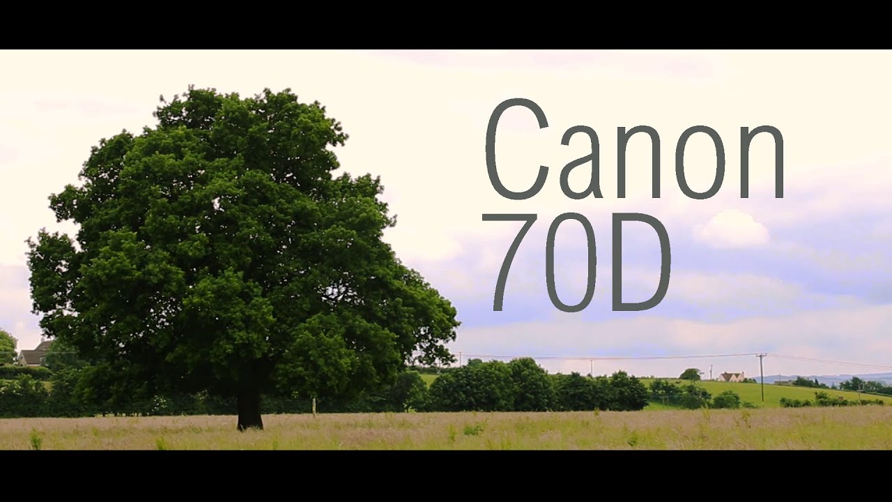 Canon 70D video test/ review