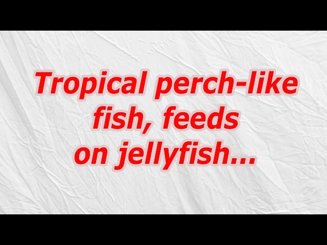 Tropical perch like fish, feeds on jellyfish (CodyCross Crossword Answer)