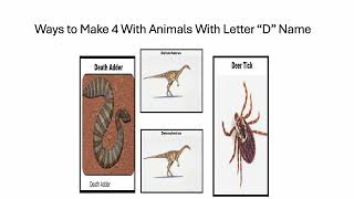 Fun With Numbers by Adding Ways to Make 4 With Animals With Letter D Name #2 (4 videos)