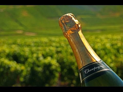 La Route Des Vins - Champagne