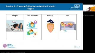 2. Employment and Education support for Fatigue: Common Difficulties