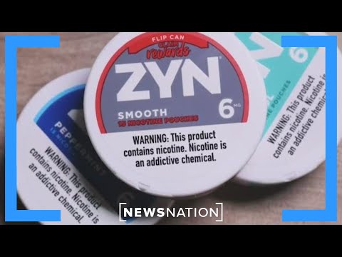 Do Zyn nicotine pouches help you lose weight?  | NewsNation Live