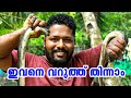 ഔഷധ ഗുണമുള്ള പാമ്പ് മീൻ പിടിച്ച് വറു�