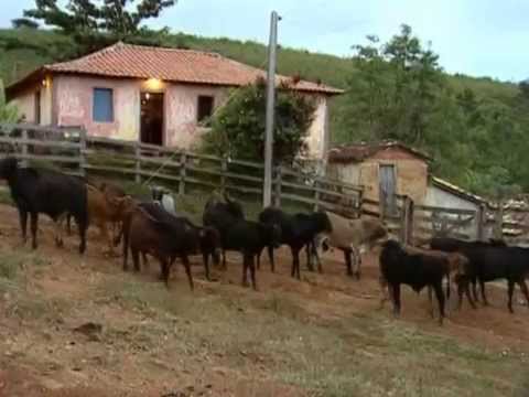 Reportagem Globo Rural 2003 ''MUTIRÃO do Porco na Serra da Canastra'' Delfinópolis mg