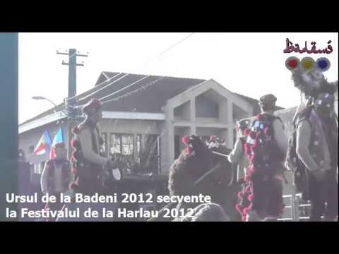 Ursul de la Badeni la festival Harlau 2012