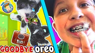 SAYING GOODBYE TO PUPPY &amp; Hello to Mikes New BRACES! FUNnel Vision Vlog
