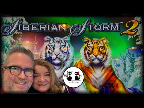 Siberian Storm 2 by The Slot Cats