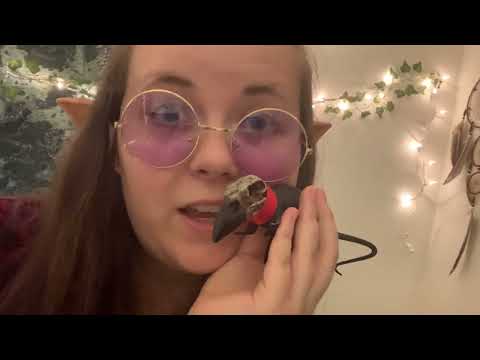 YouTube video