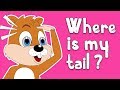 Where Is My Squirrel Tail Kindergarten Animal Education Songs For Children By Fun For Kids TV