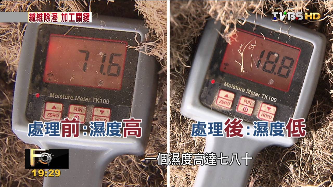 FOCUS/垃圾變黃金!大馬棕櫚廢料 翻身成綠能