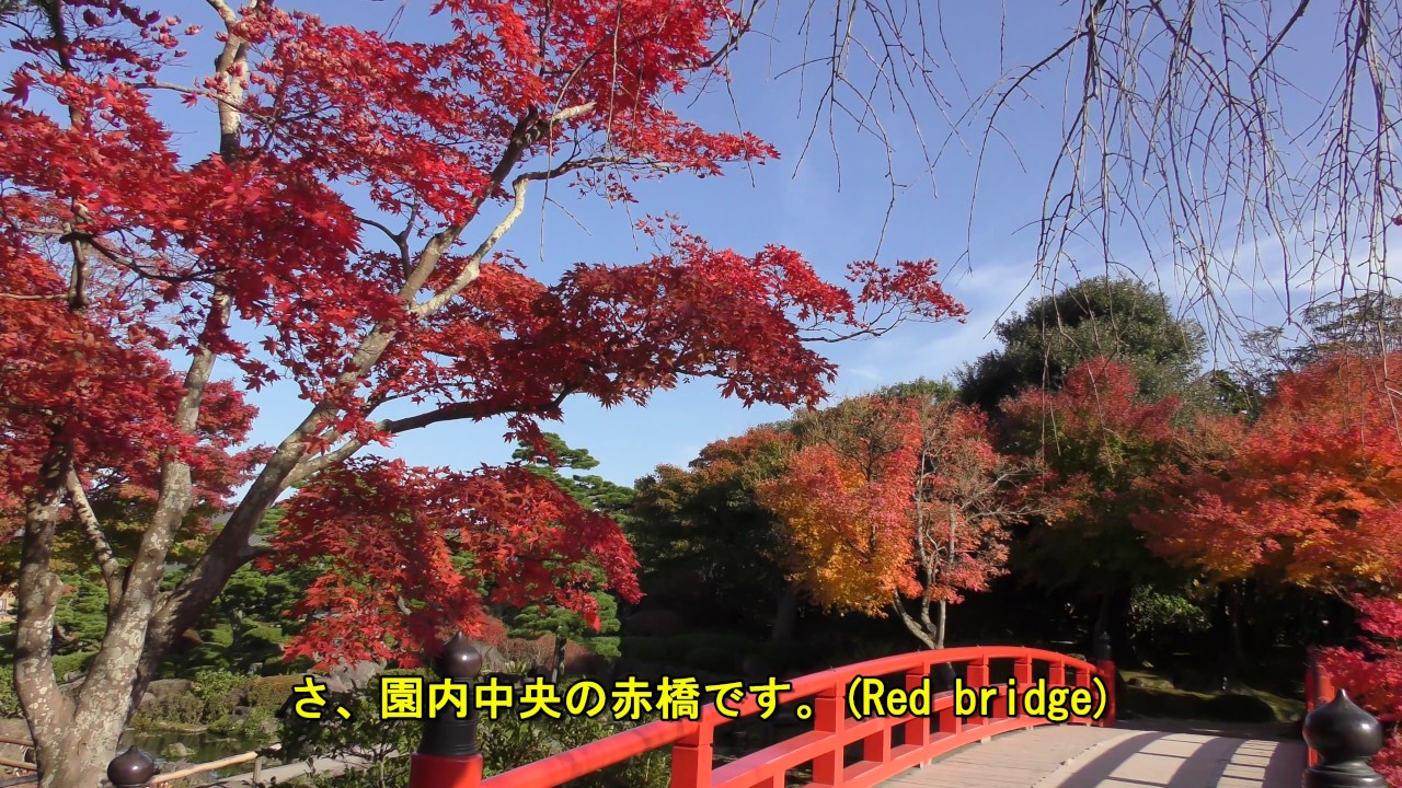 Download 4k 由志園 紅葉16 Yushien Autumn Leaves The Largest Japanese Garden 最大 Daily Movies Hub