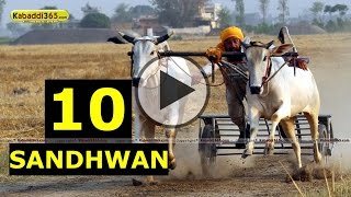 (1) Sandhwan (Nawanshahr) Ox Race 17 May 2015