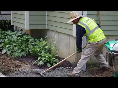 Best Dead Plant Removal Services in Omaha NE | Omaha Junk Removal
