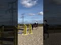 Top cheval amateur
