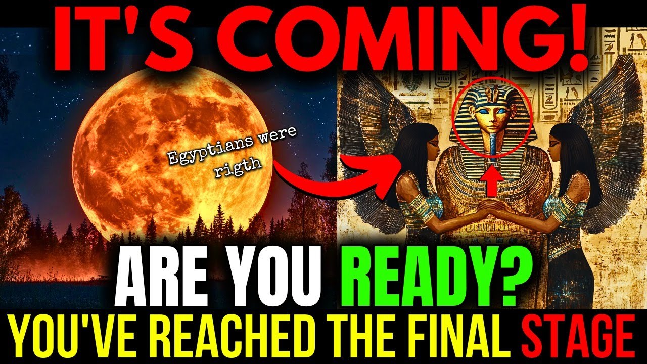 Souls who Choose ASCENCION. You have Entered the FINAL STAGE! Prepare for the TEST!